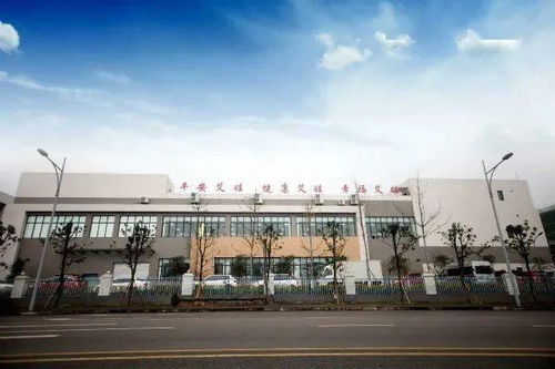 大数据驱动智慧升级，重庆高新区信息咨询服务企业引领智造新篇章